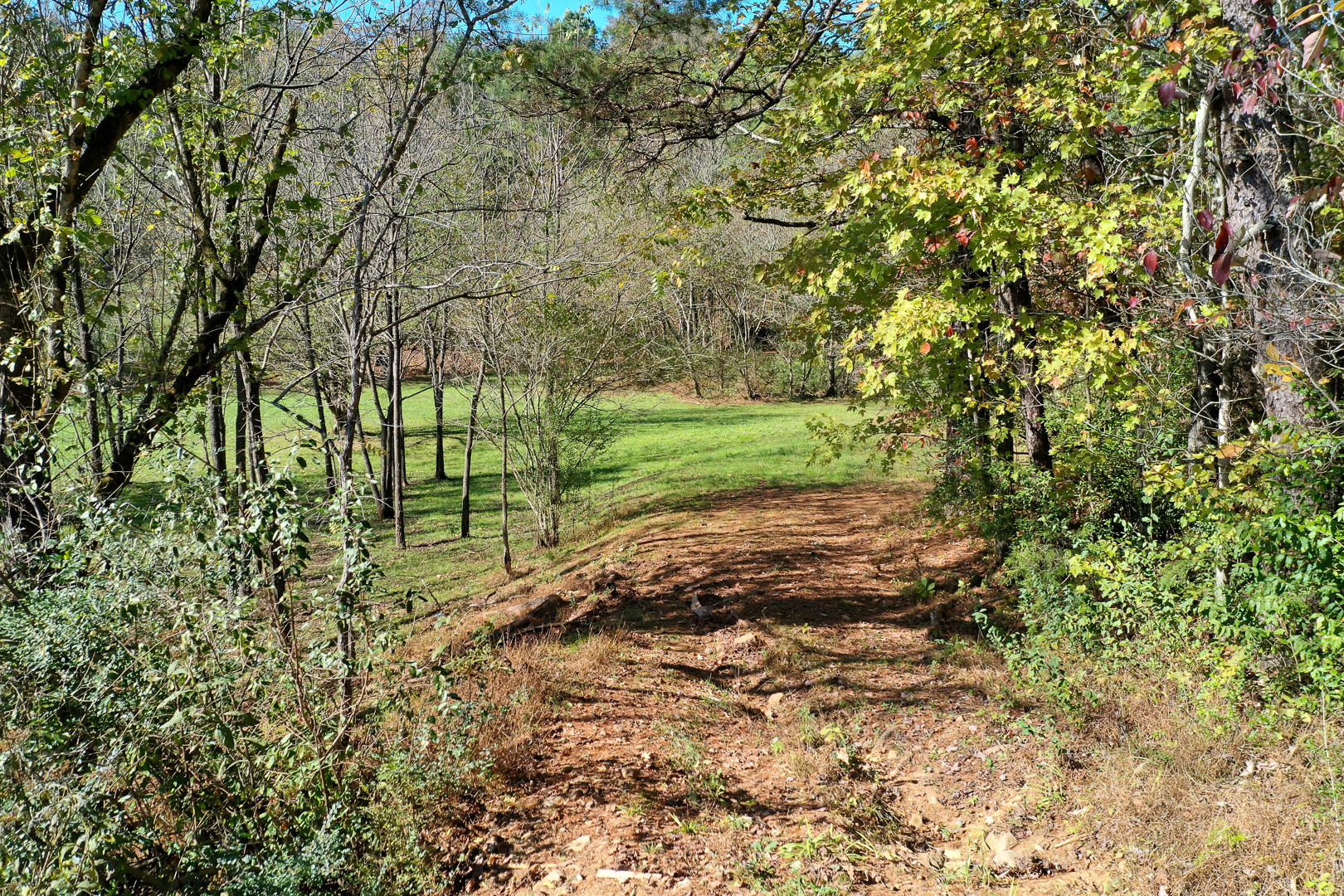 6 Mile Rd Road Maryville, TN 37803 - Photo 2 of 12 DSC-8910-12