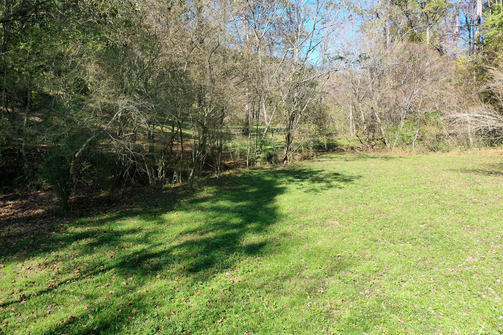 6 Mile Rd Road Maryville, TN 37803 - Photo 11 of 12 DSC-8910-5