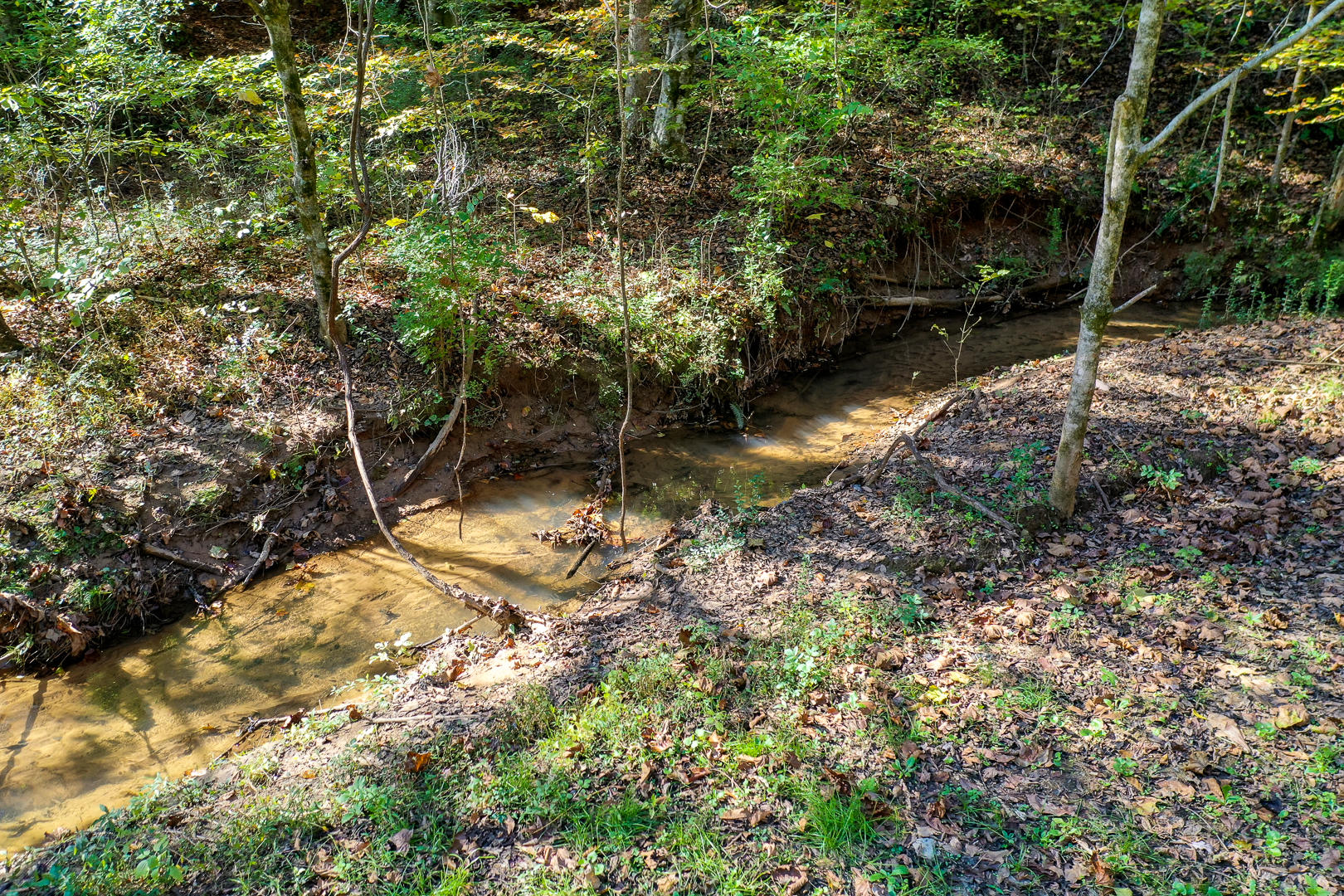 6 Mile Rd Road Maryville, TN 37803 - Photo 3 of 12 DSC-8910-6