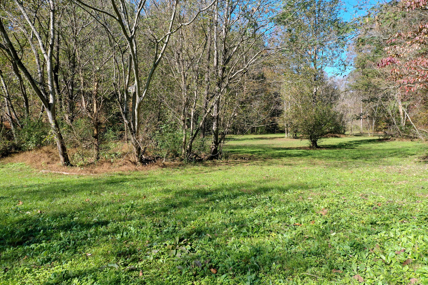 6 Mile Rd Road Maryville, TN 37803 - Photo 4 of 12 DSC-8910-9