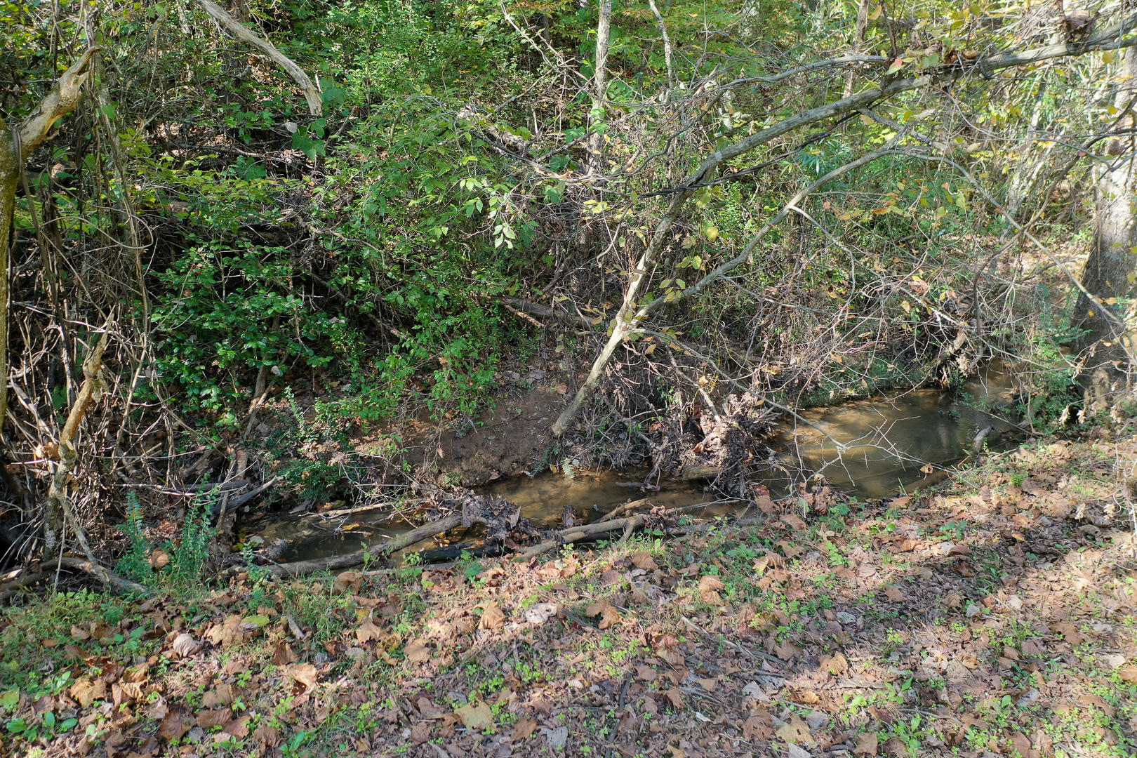 6 Mile Rd Road Maryville, TN 37803 - Photo 5 of 12 DSC-8910-4