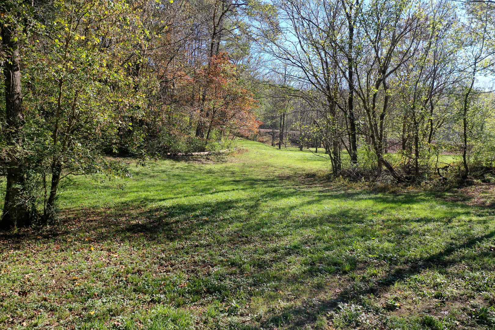 6 Mile Rd Road Maryville, TN 37803 - Photo 6 of 12 DSC-8910-8