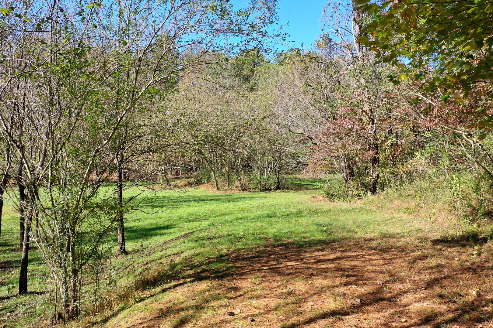 6 Mile Rd Road Maryville, TN 37803 - Photo 7 of 12 DSC-8910-10