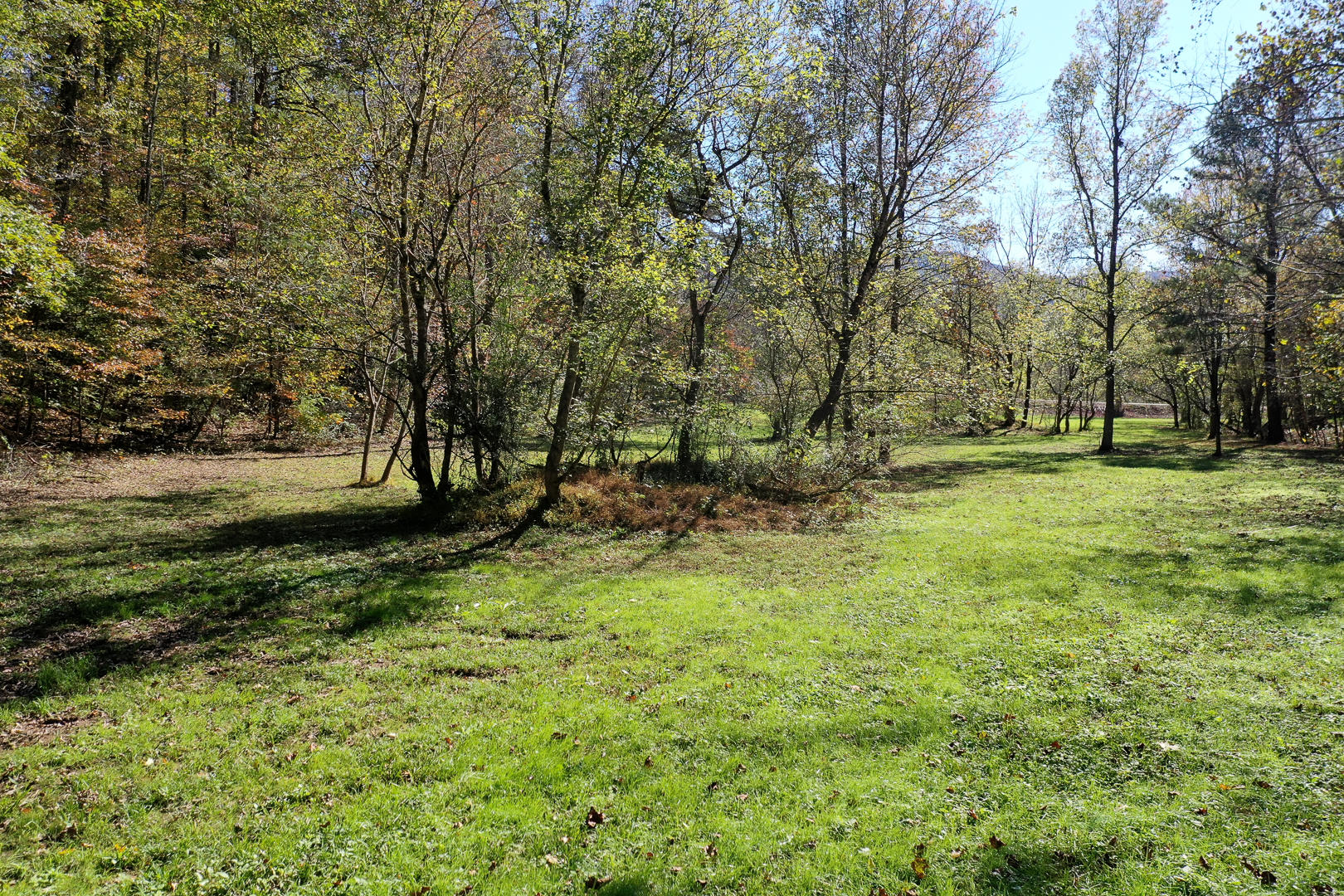 6 Mile Rd Road Maryville, TN 37803 - Photo 8 of 12 DSC-8910-7