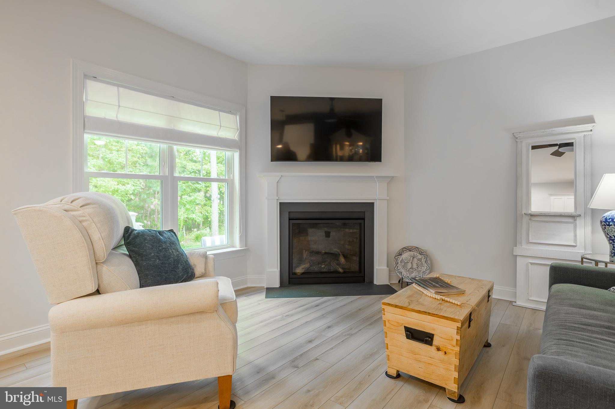 18308 Emerson Way Georgetown, DE 19947 - Photo 11 of 43 a living room with furniture and a fireplace