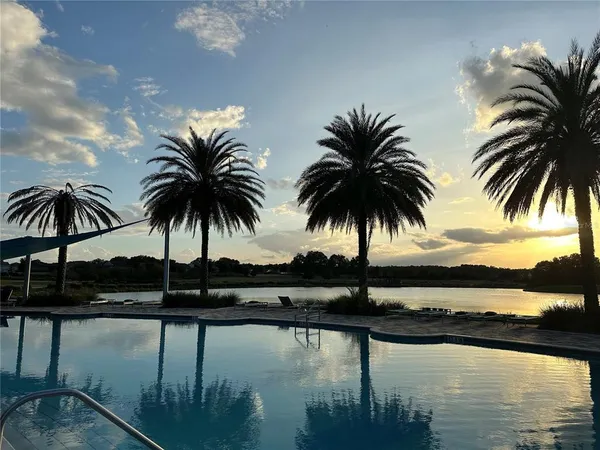 a view of ocean view with palm trees
