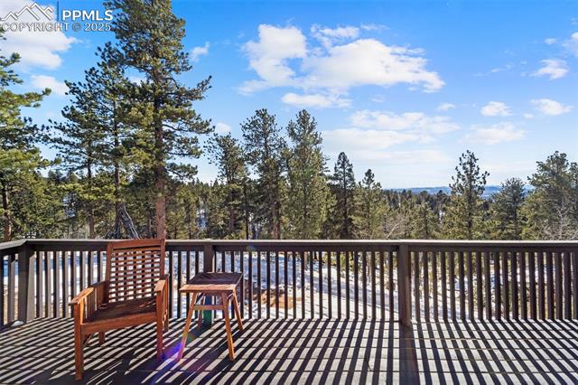 112 Needle Creek Road Divide, CO 80814 - Photo 25 of 27 Gallery Image 25