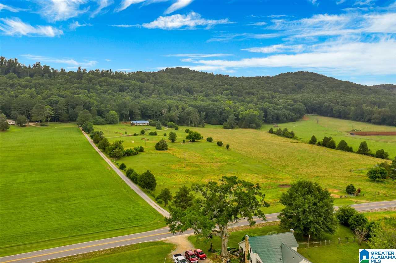 4367 County Road 39 Oneonta, AL 35121 - Photo 31 of 34