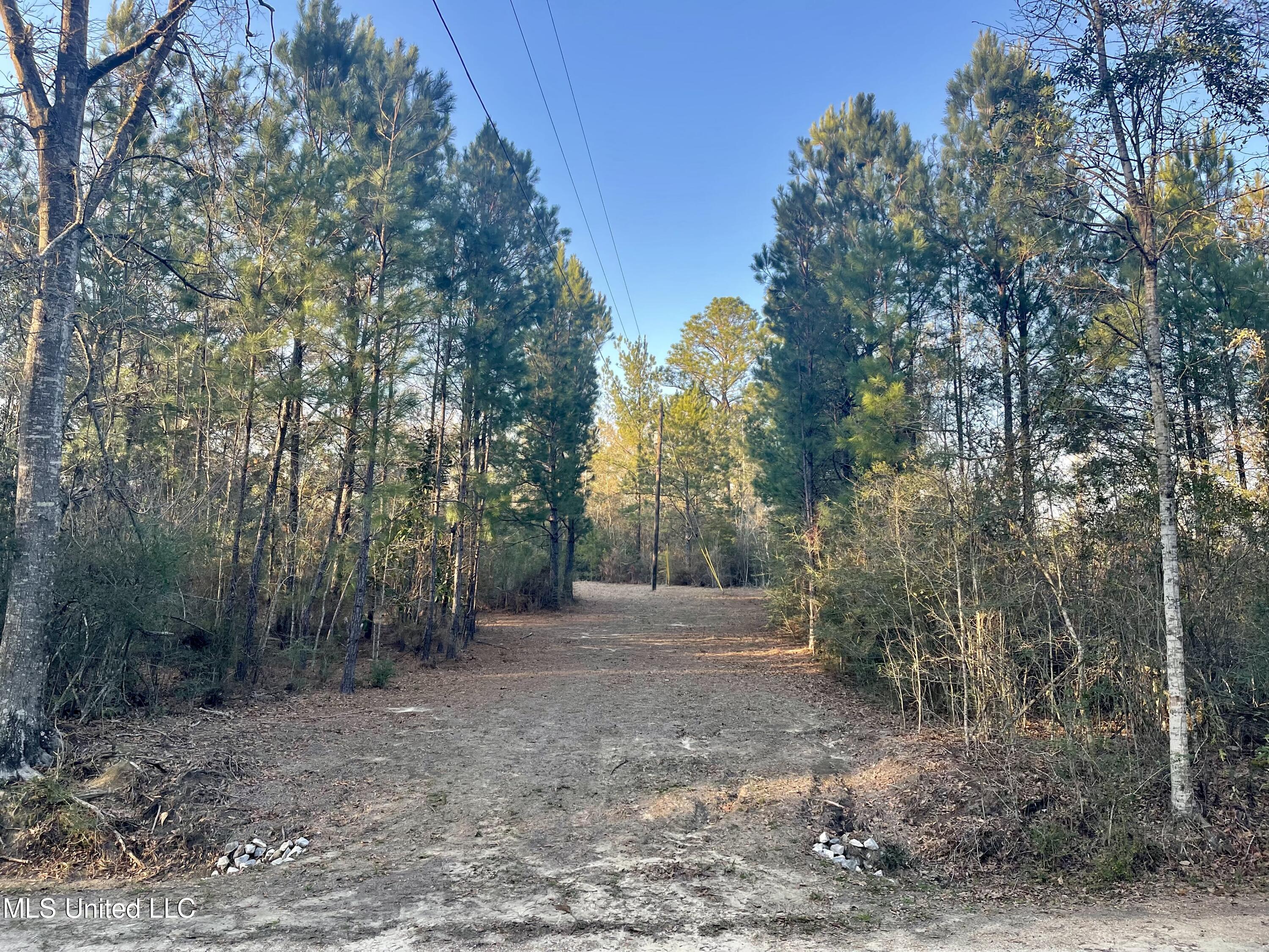 0 Road 522 Saucier, MS 39574 - Photo 2 of 4 Front View