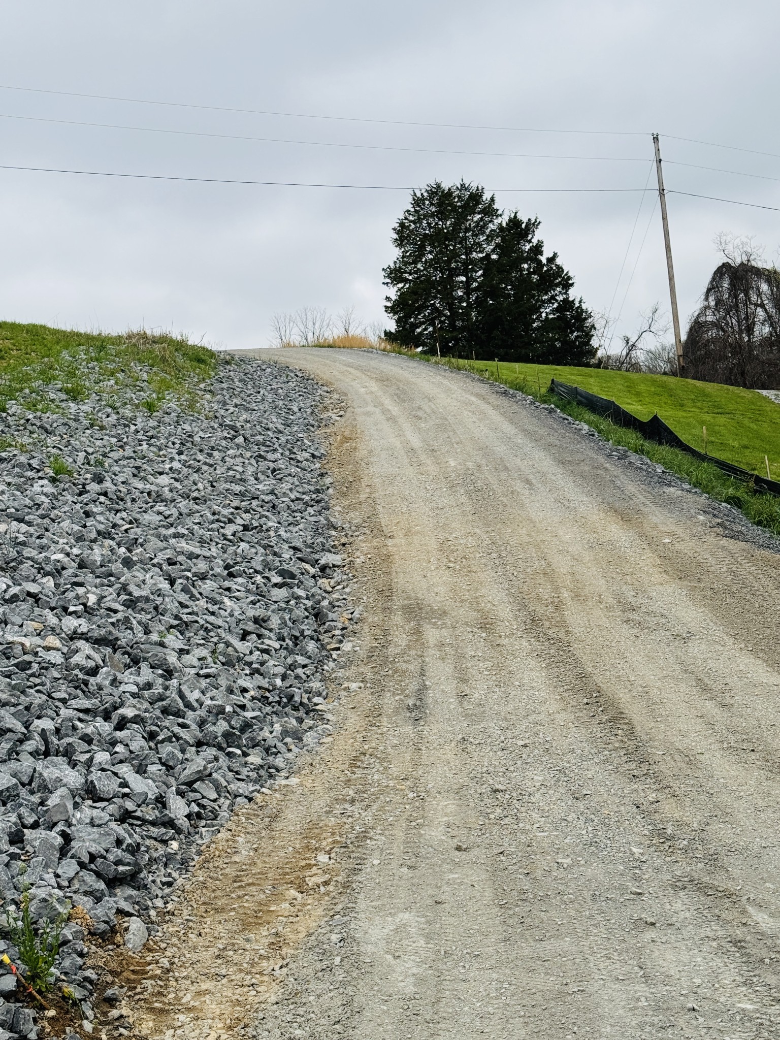 393 Leaths Branch Road Westmoreland, TN 37186 - Photo 5 of 9 Gallery Image 5