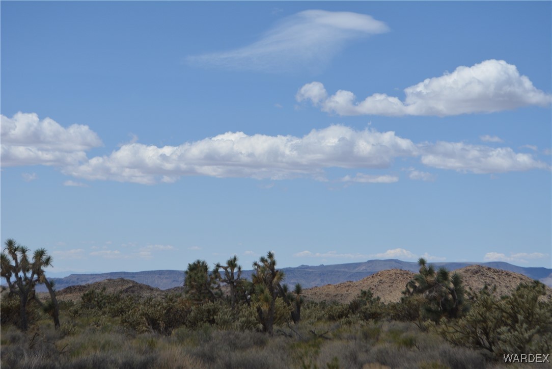 11900 Alan Road Yucca, AZ 86438 - Photo 68 of 99 Gallery Image 68