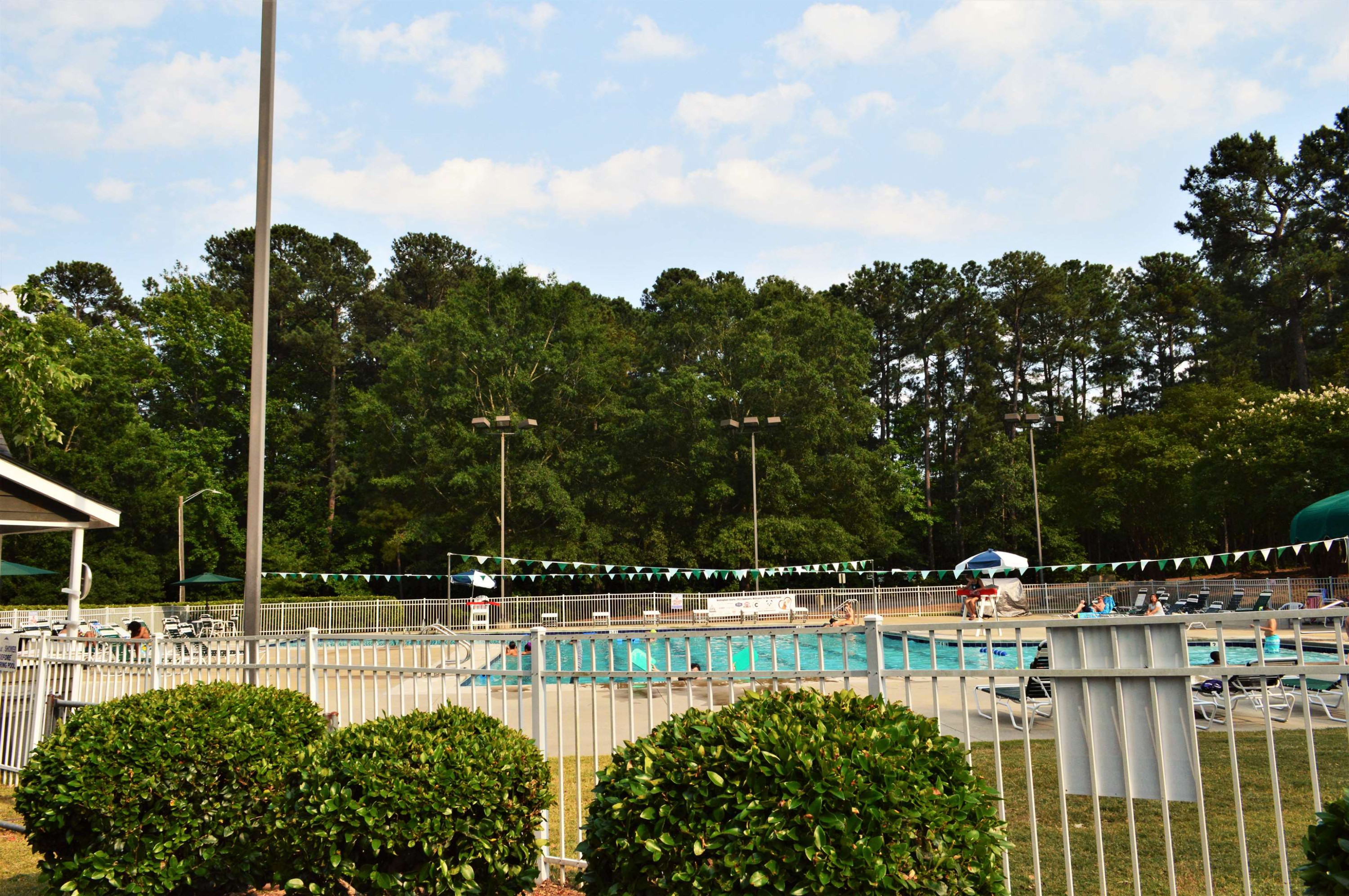 4965 Royal Adelaide Way Raleigh, NC 27604 - Photo 30 of 41 Hedingham Pool