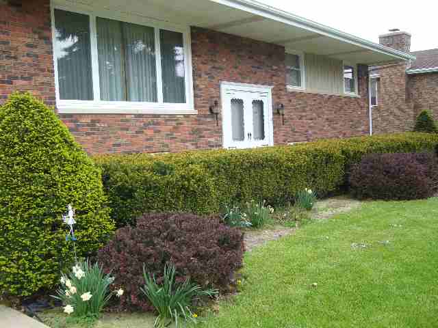 1124 Brentwood Road Morton, IL 61550 - Photo 9 of 9 Gallery Image 9