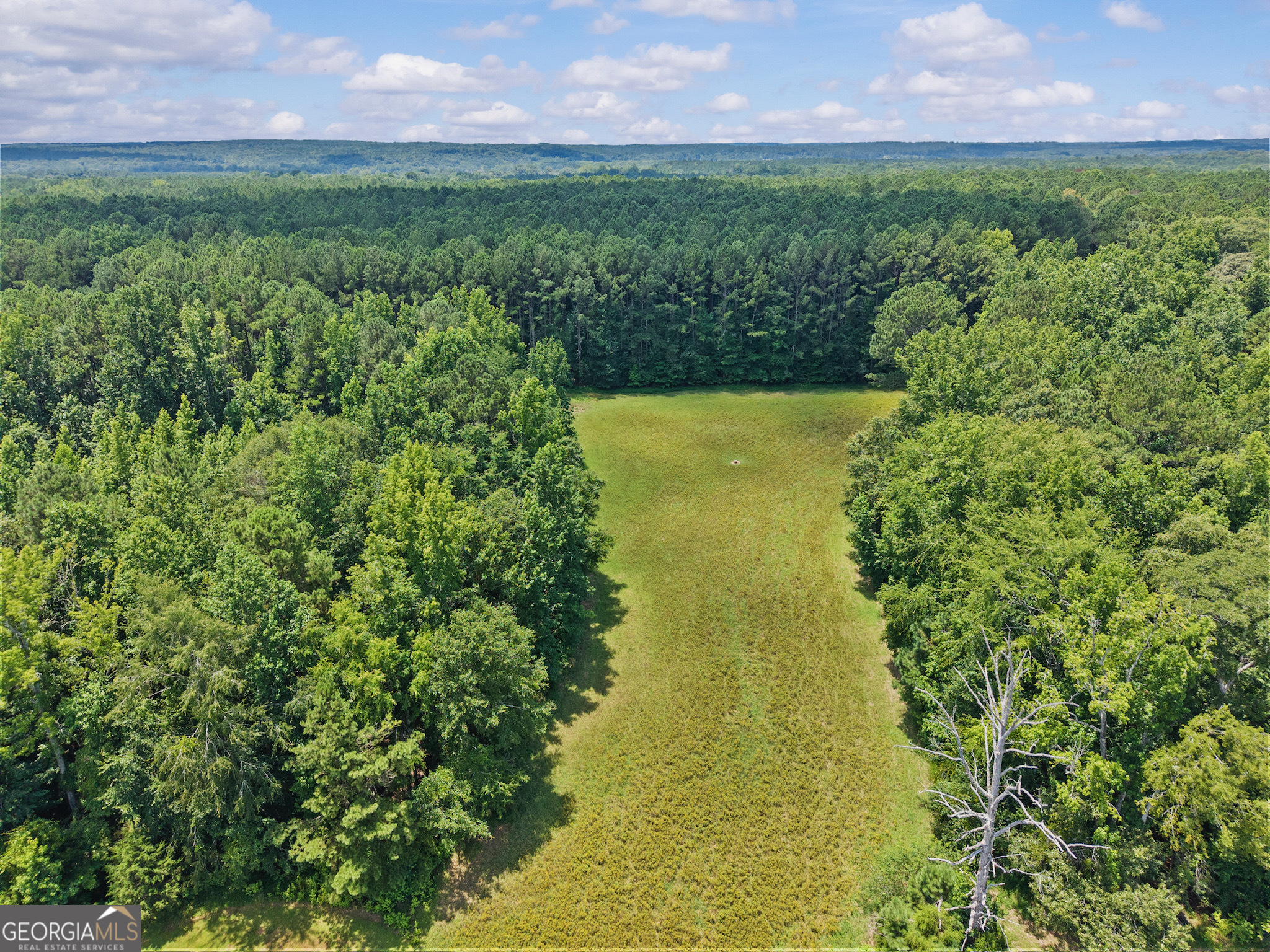 2720 Doster Road Madison, GA 30650 - Photo 54 of 59