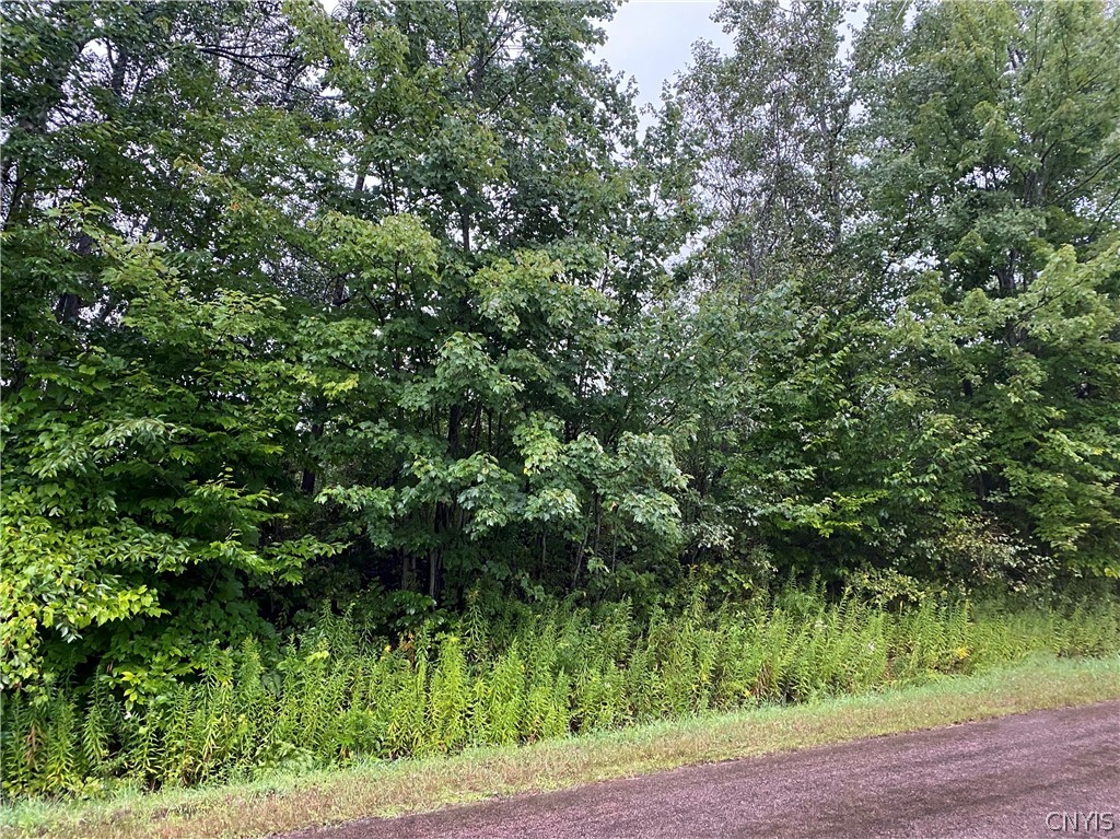 # Stinebrickner Road West Leyden, NY 13489 - Photo 1 of 1 Gallery Image 1