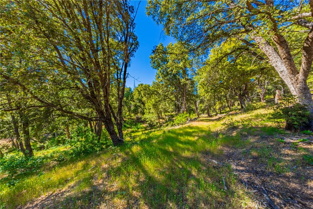 0 3 Springs Road Oakhurst, CA 93644 - Photo 2 of 20