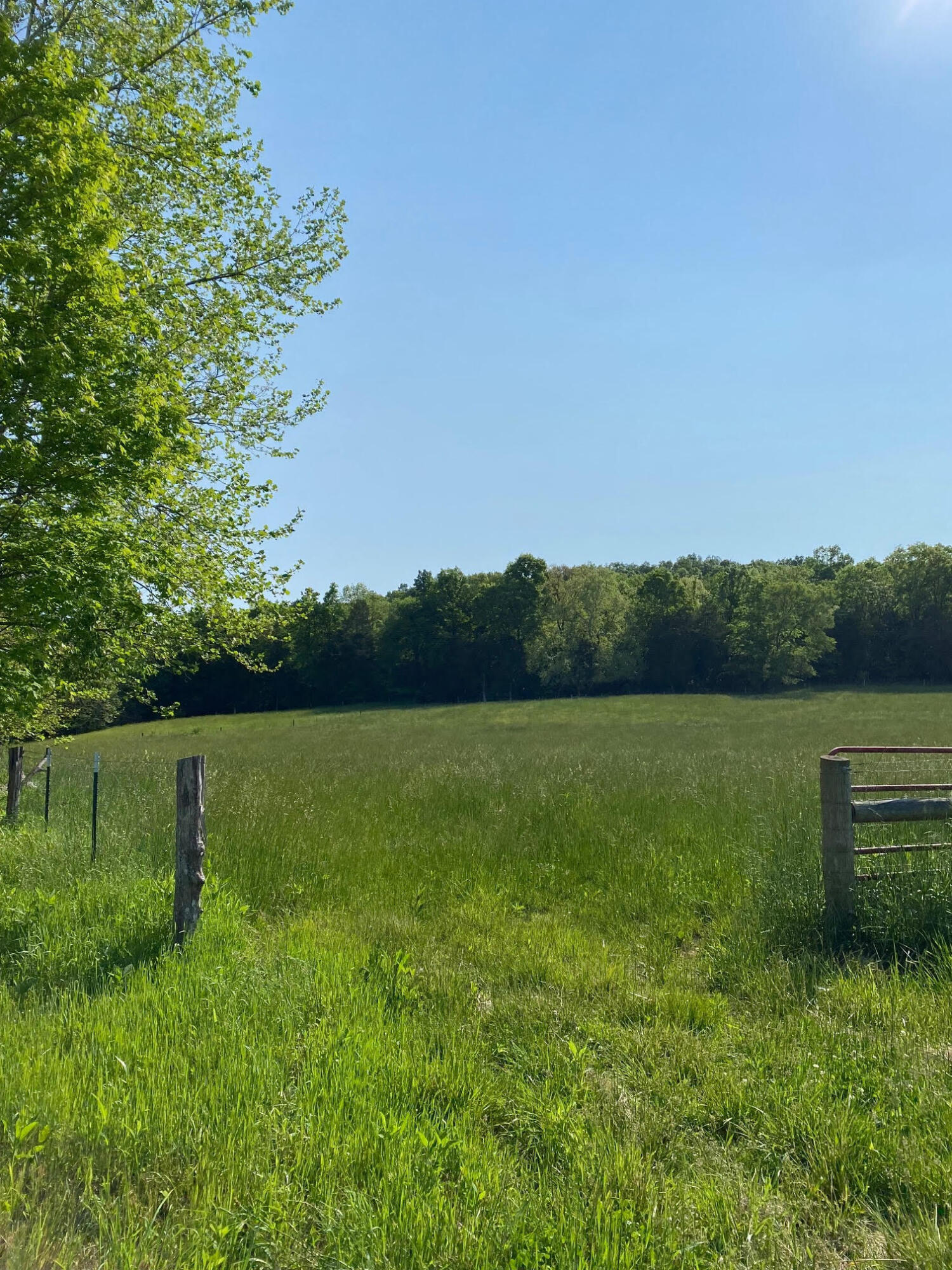 0 Blaze Valley Road Somerset, KY 42501 - Photo 9 of 12 unnamed (2)