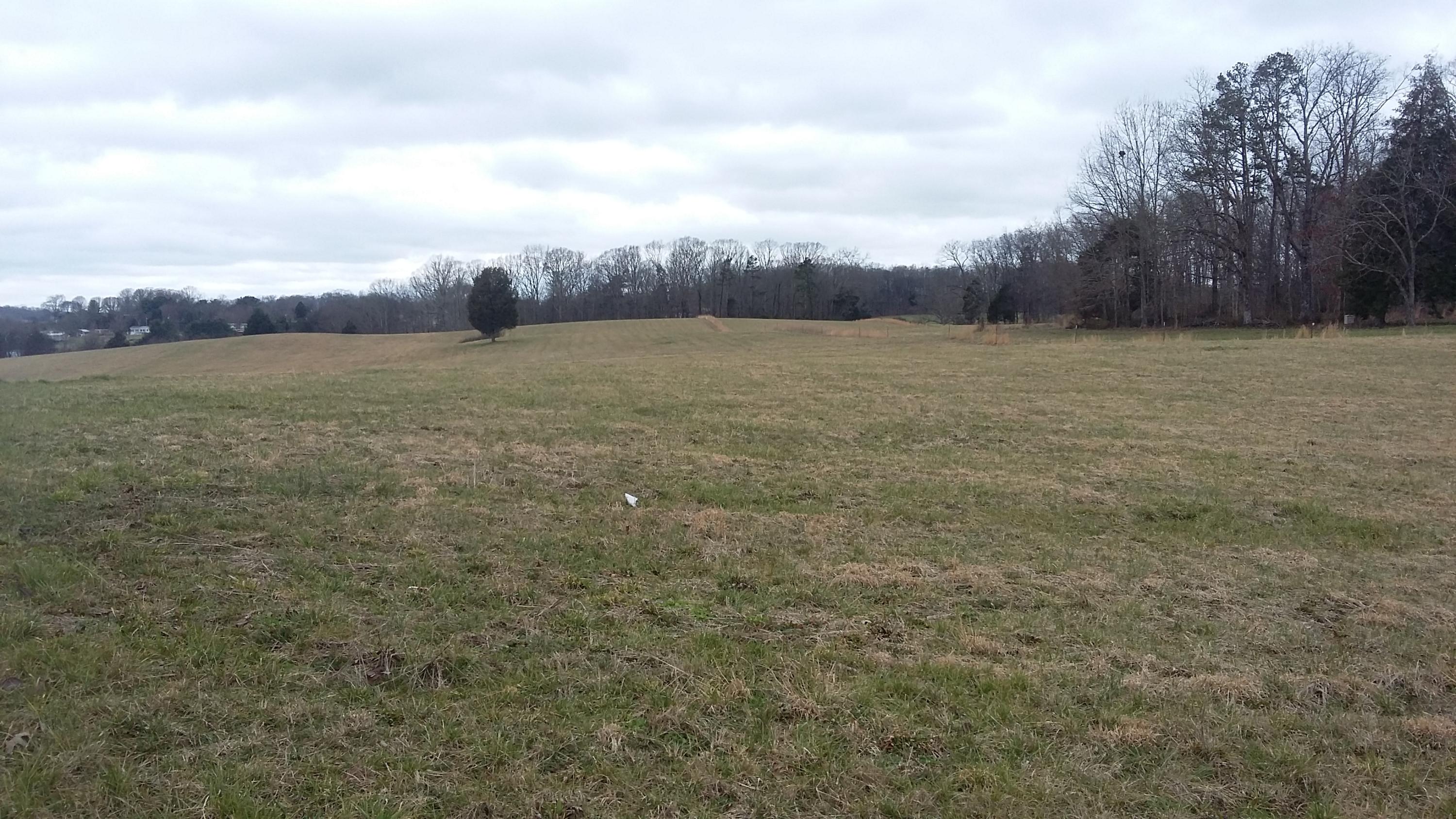 3 Caldwell Road Loudon, TN 37774 - Photo 1 of 5 20160304_114527