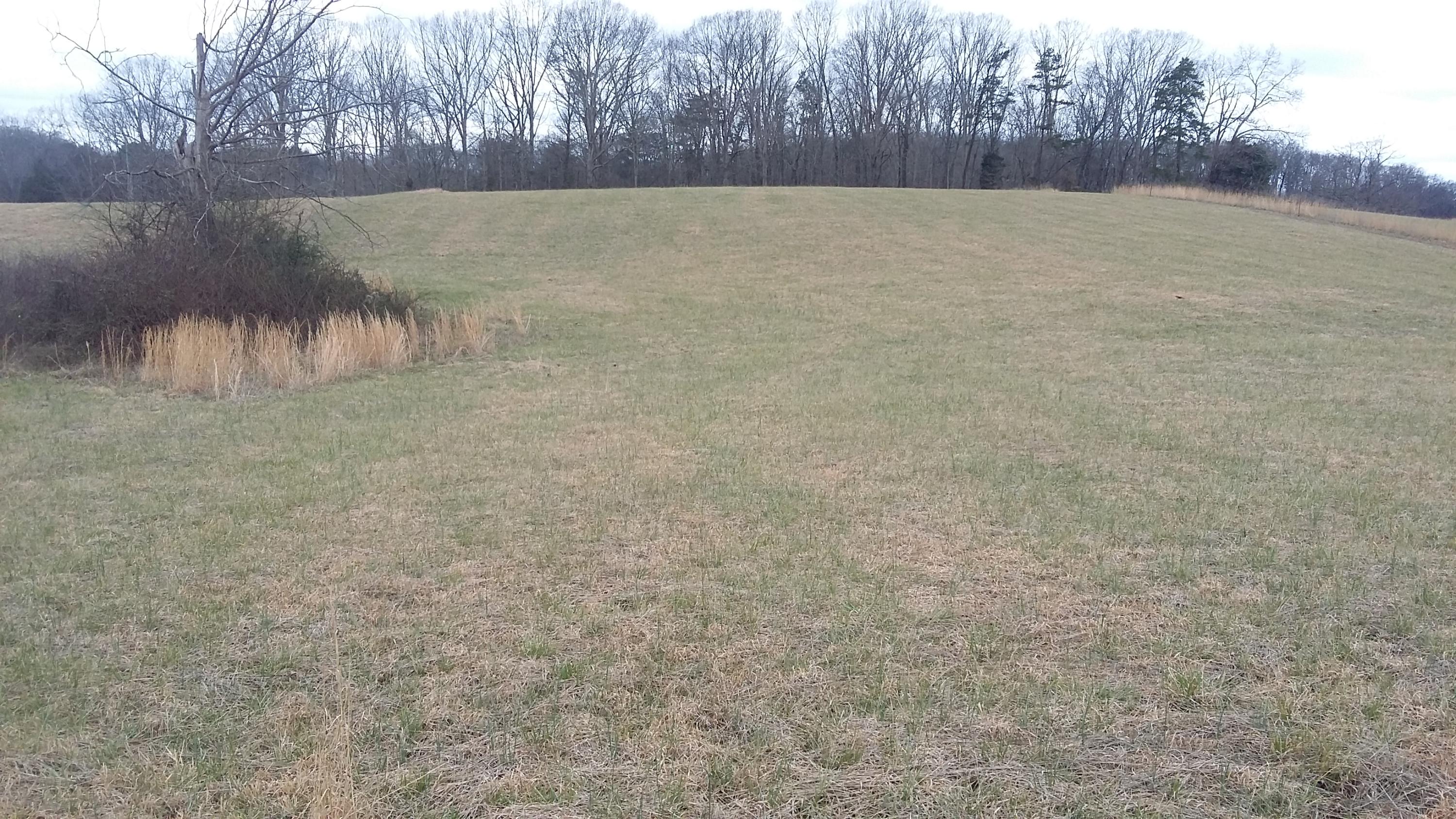 3 Caldwell Road Loudon, TN 37774 - Photo 3 of 5 20160304_114731