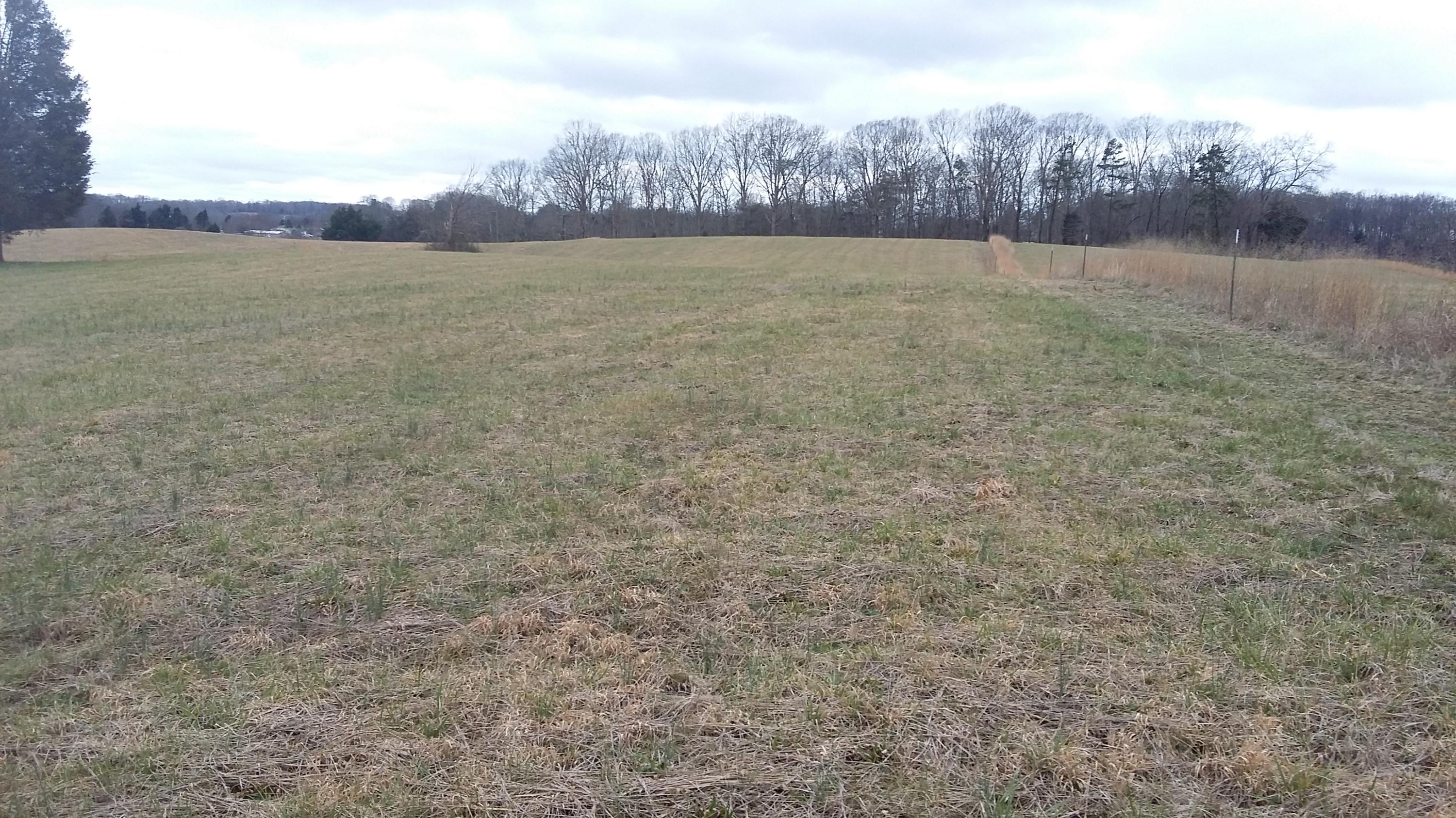 3 Caldwell Road Loudon, TN 37774 - Photo 5 of 5 20160304_115315