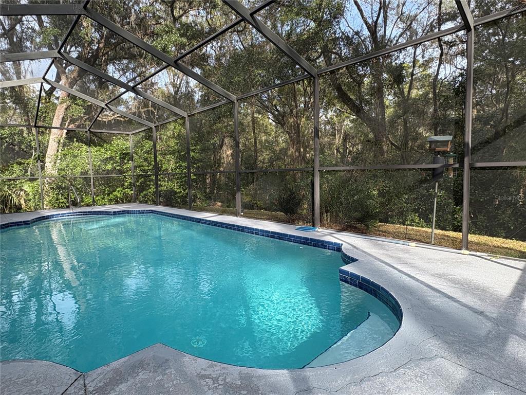 18956 Southwest 93rd Loop Dunnellon, FL 34432 - Photo 36 of 59