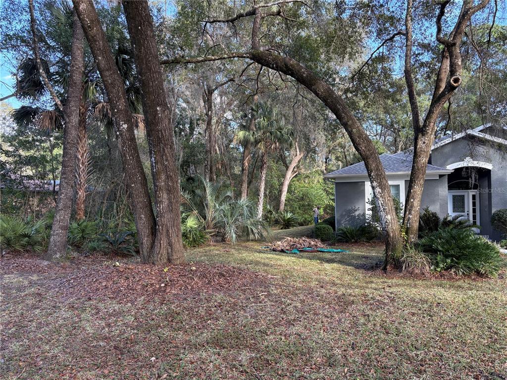 18956 Southwest 93rd Loop Dunnellon, FL 34432 - Photo 41 of 59