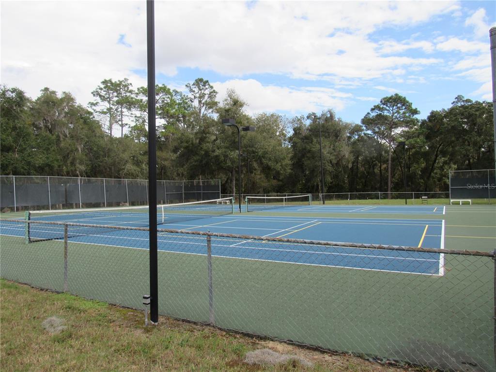 18956 Southwest 93rd Loop Dunnellon, FL 34432 - Photo 51 of 59