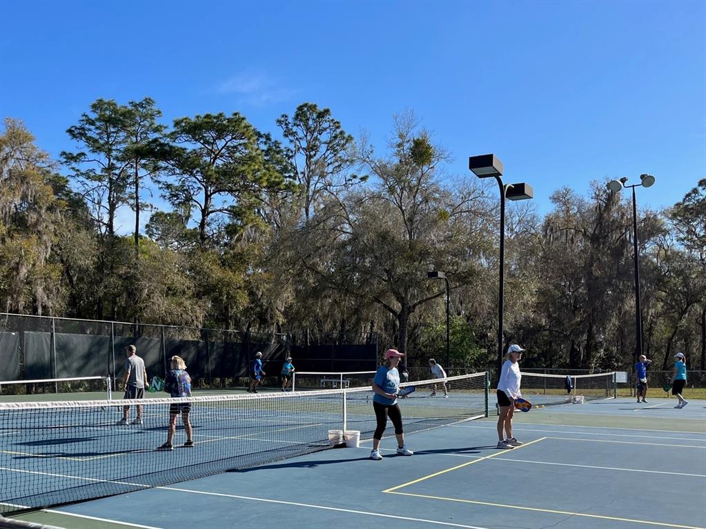 18956 Southwest 93rd Loop Dunnellon, FL 34432 - Photo 54 of 59