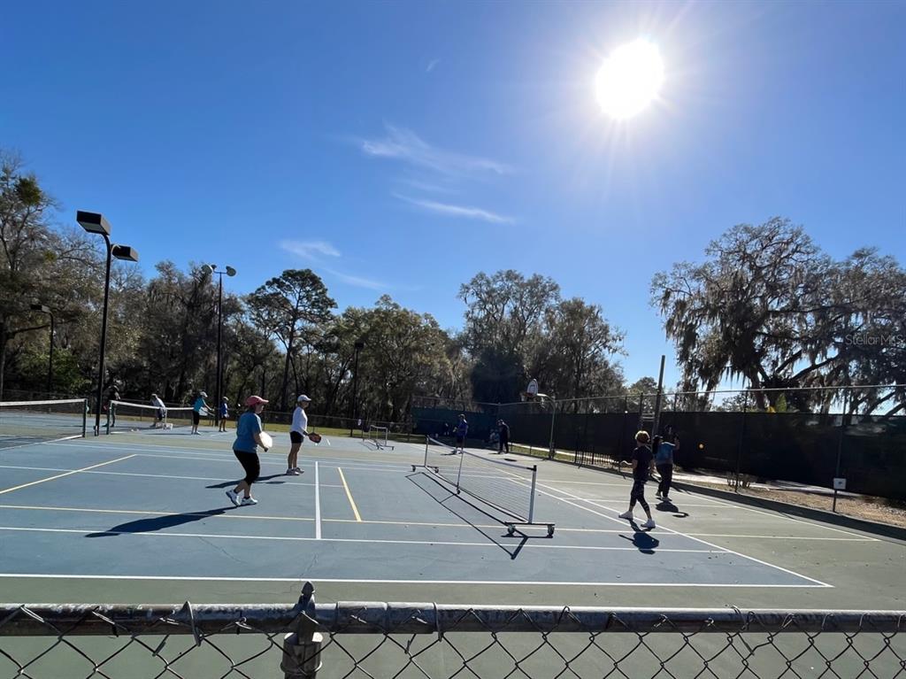 18956 Southwest 93rd Loop Dunnellon, FL 34432 - Photo 55 of 59