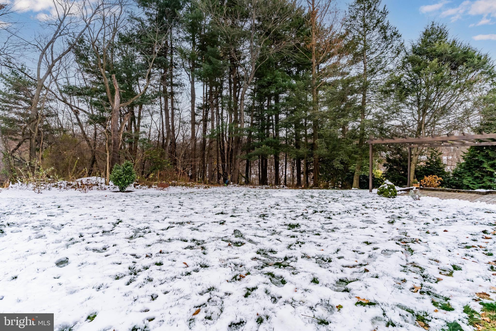 539 West Cumberland Road Enola, PA 17025 - Photo 25 of 26 a view of a backyard with a large tree