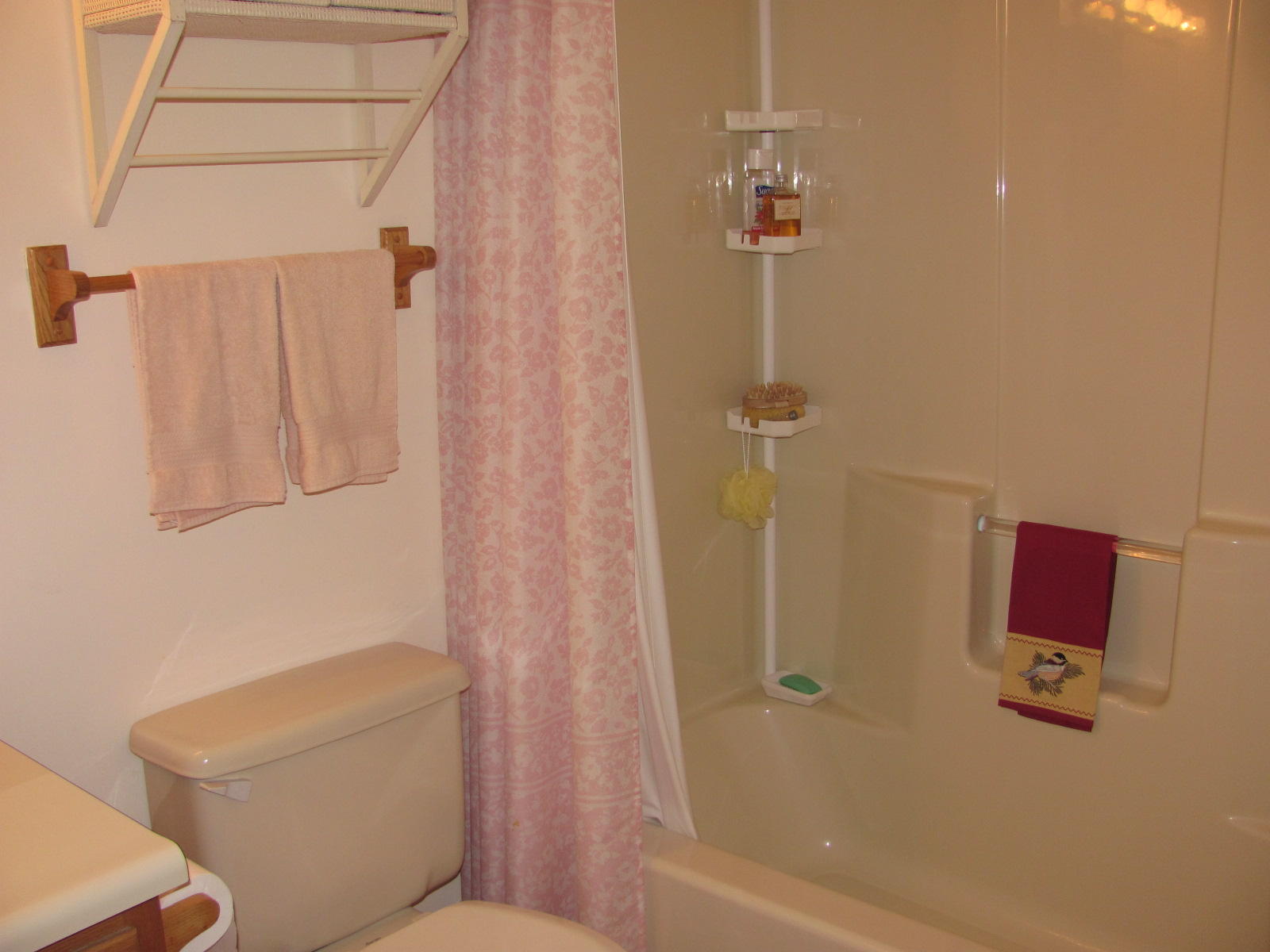 1947 Timber Ridge Buchanan, VA 24066 - Photo 17 of 33 Hall Bathroom