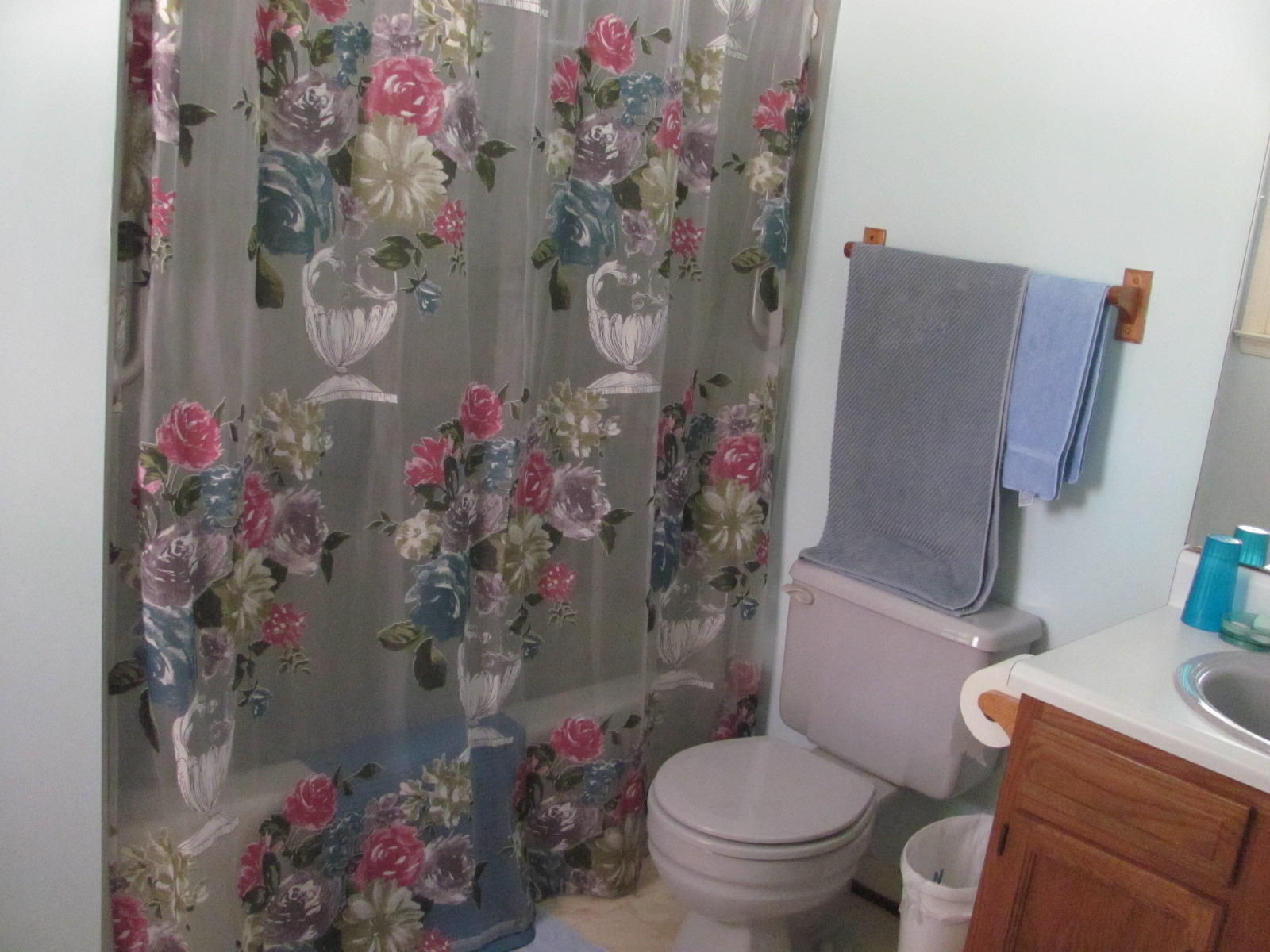 1947 Timber Ridge Buchanan, VA 24066 - Photo 21 of 33 Master Bathroom