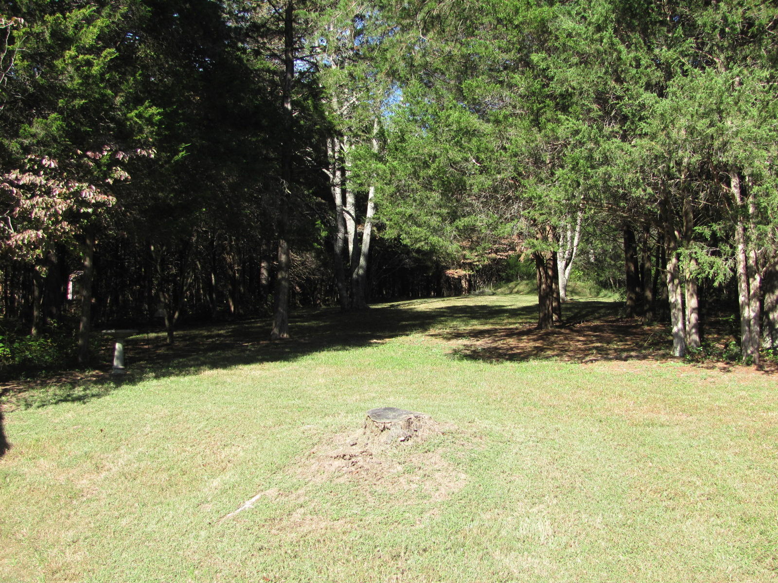 1947 Timber Ridge Buchanan, VA 24066 - Photo 27 of 33 Back yard