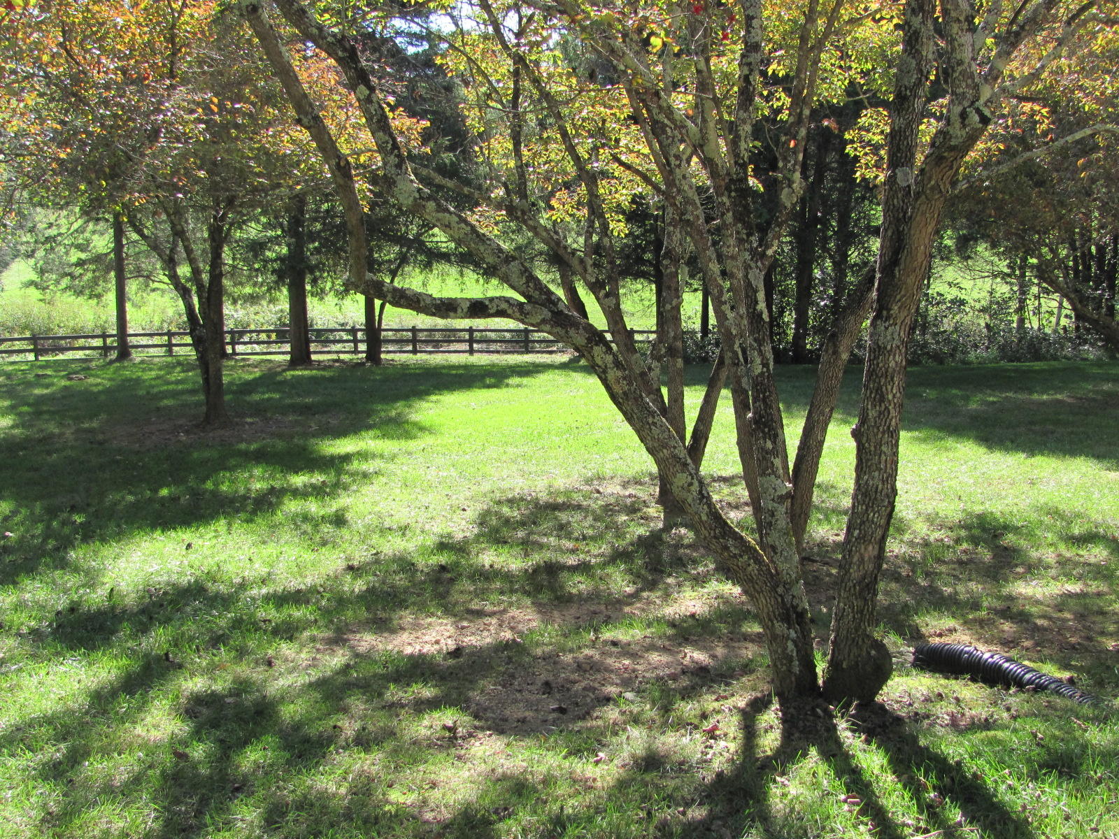 1947 Timber Ridge Buchanan, VA 24066 - Photo 29 of 33 Front yard