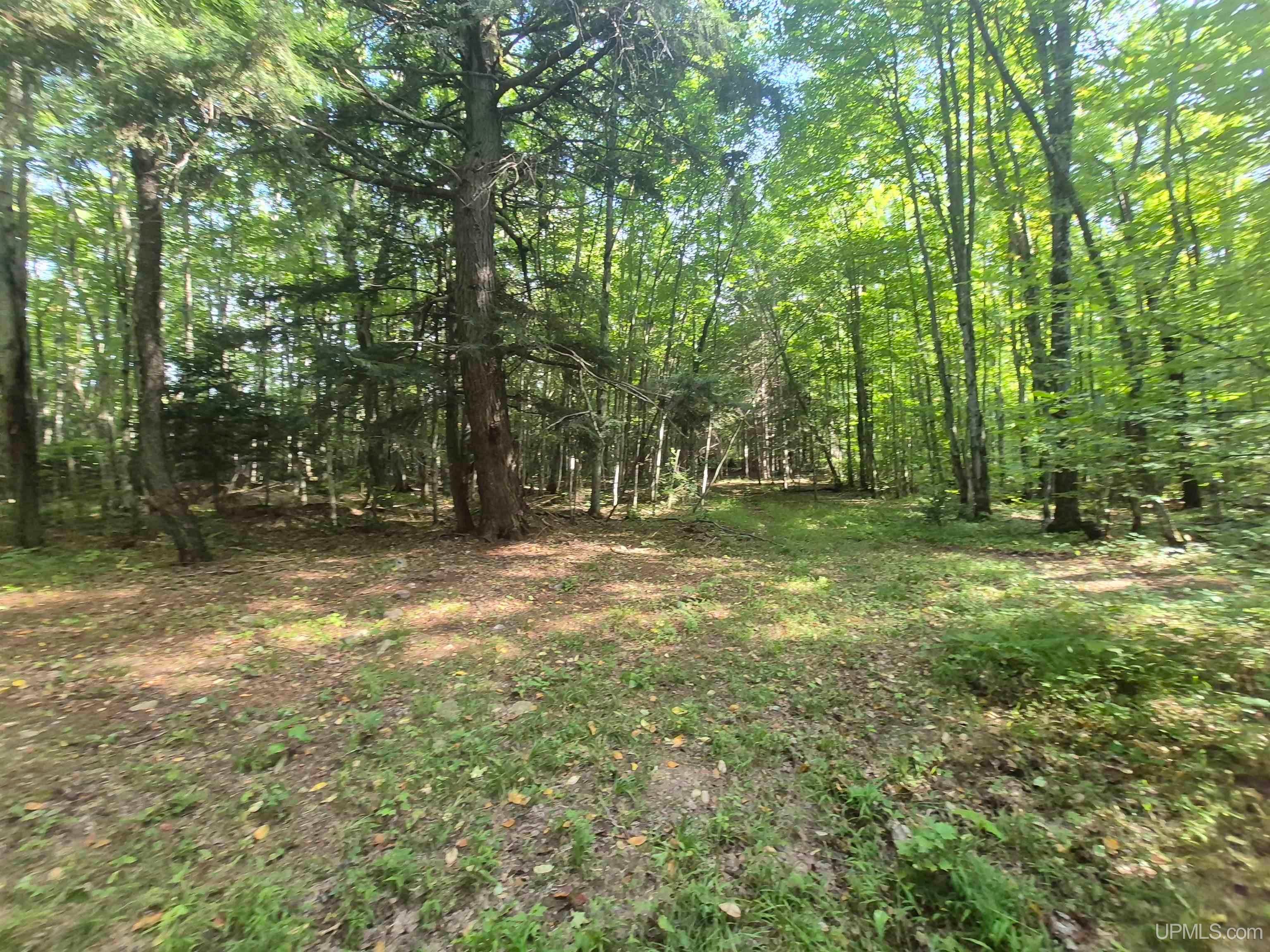 N8336 Sigan Road Deerton, MI 49822 - Photo 37 of 61 Gallery Image 37