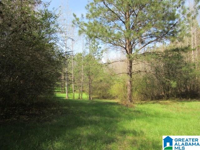 229 County Road, Unit 29 Thorsby, AL 35171 - Photo 16 of 23