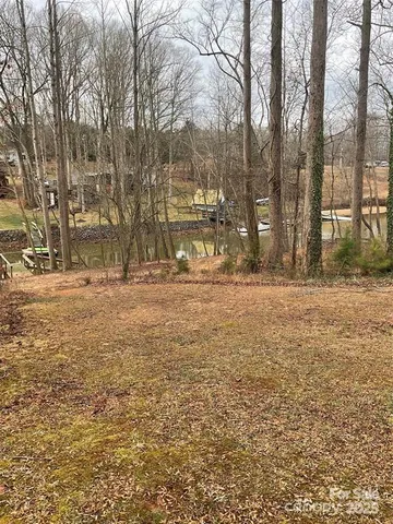 a view of a yard with a tree