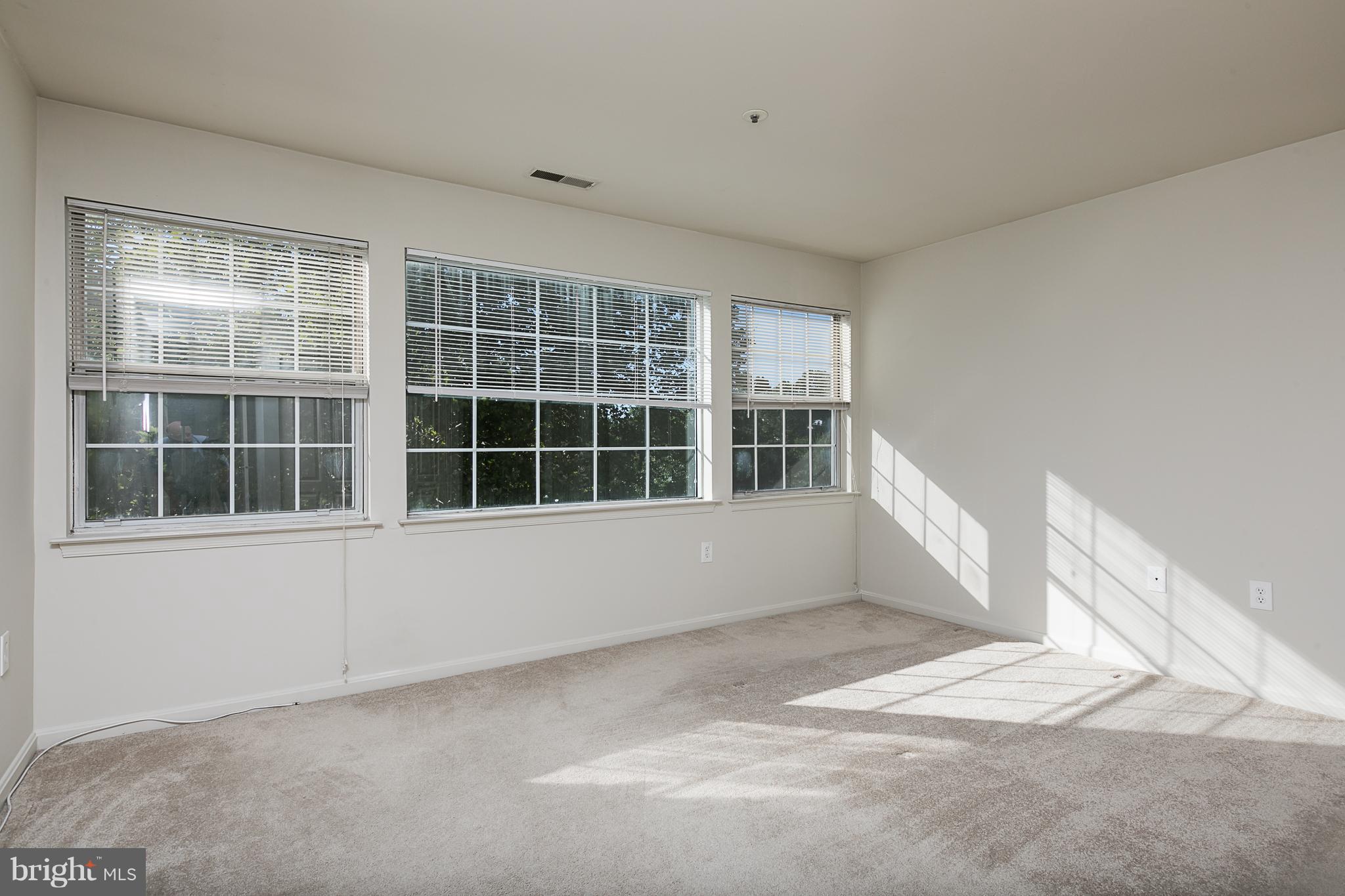 8390 Montgomery Run Road, Unit D Ellicott City, MD 21043 - Photo 10 of 19 Wall of windows in Owner's Suite