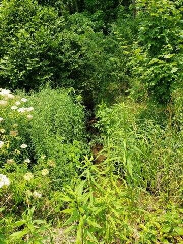 169 County Road 188 Decatur, TN 37322 - Photo 17 of 24