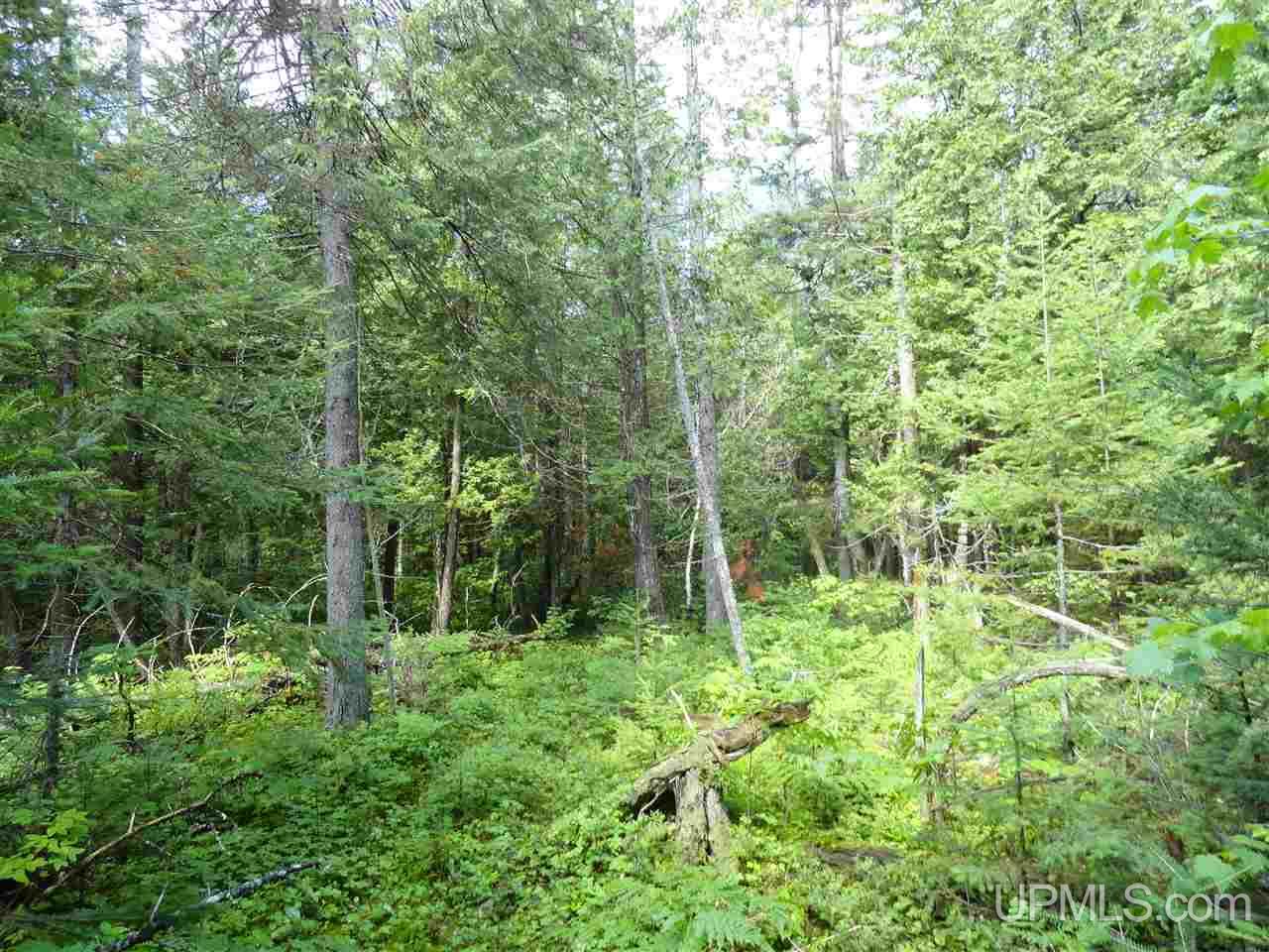 2 Rd Rock Mi 49880 Road Rock, MI 49880 - Photo 31 of 39