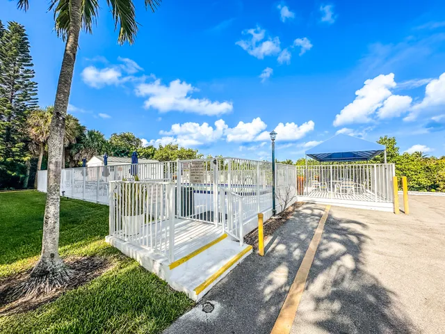 a view of a backyard with a garden and palm trees