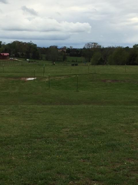 635 Rader Lane Greeneville, TN 37743 - Photo 3 of 24 IMG_2374