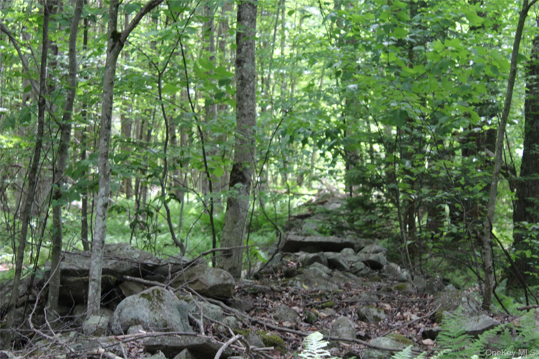 624 County Road Fremont Center, NY 12736 - Photo 29 of 40 Nature