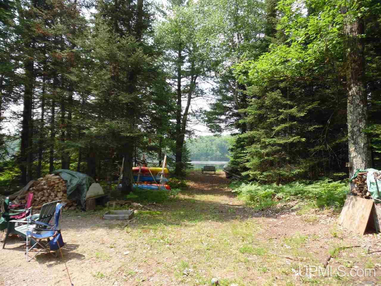 Tbd Menominee Trail, Unit LOT 2 Daggett, MI 49821 - Photo 4 of 4