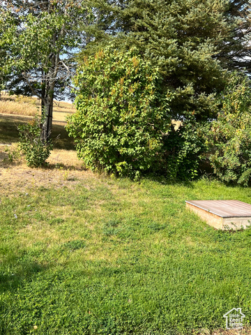 108 South Road Montpelier, ID 83254 - Photo 27 of 36 View of grassy yard