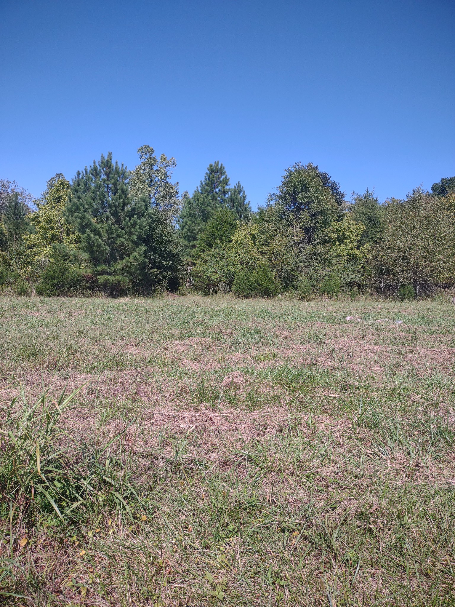 0 Allen Aymett Road Pulaski, TN 38478 - Photo 1 of 1 Gallery Image 1