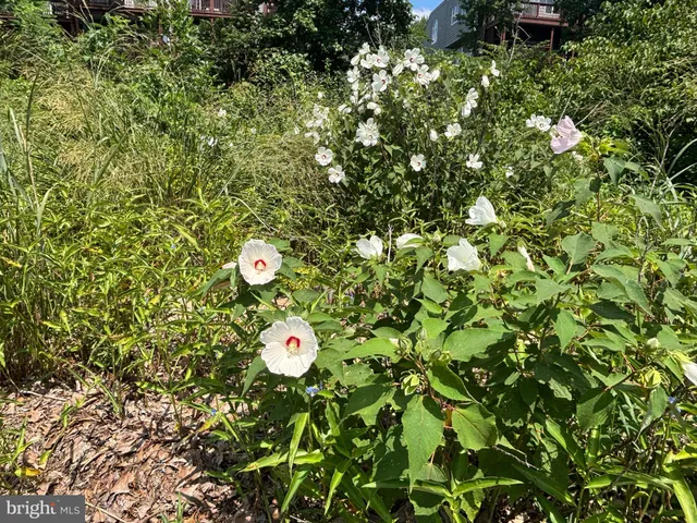 $579,900 | 37 Northeast Isles Drive, North East, MD 21901