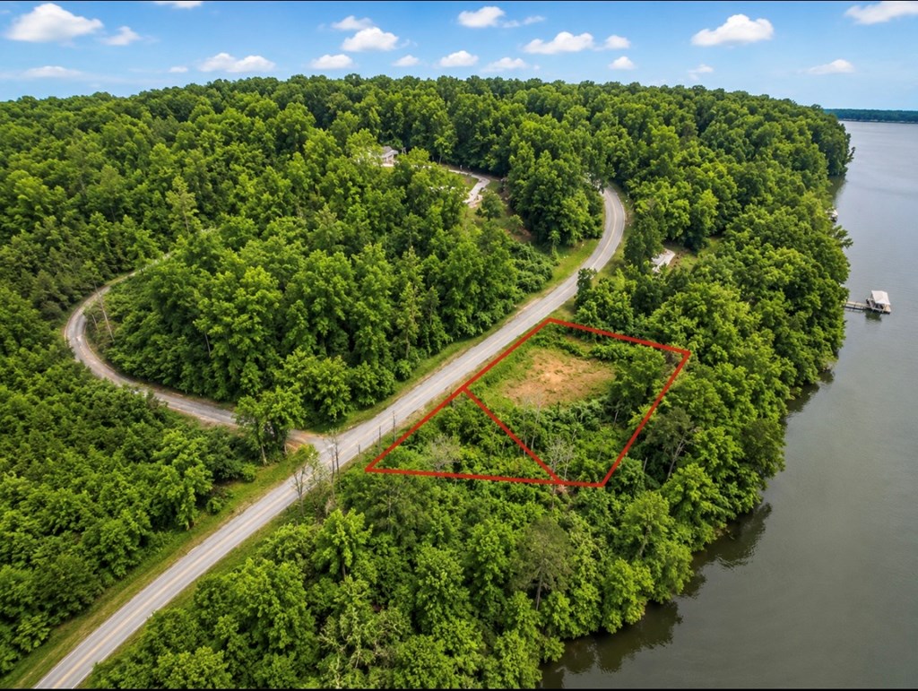 97 County Road 97 Abbeville, AL 36310 - Photo 4 of 4