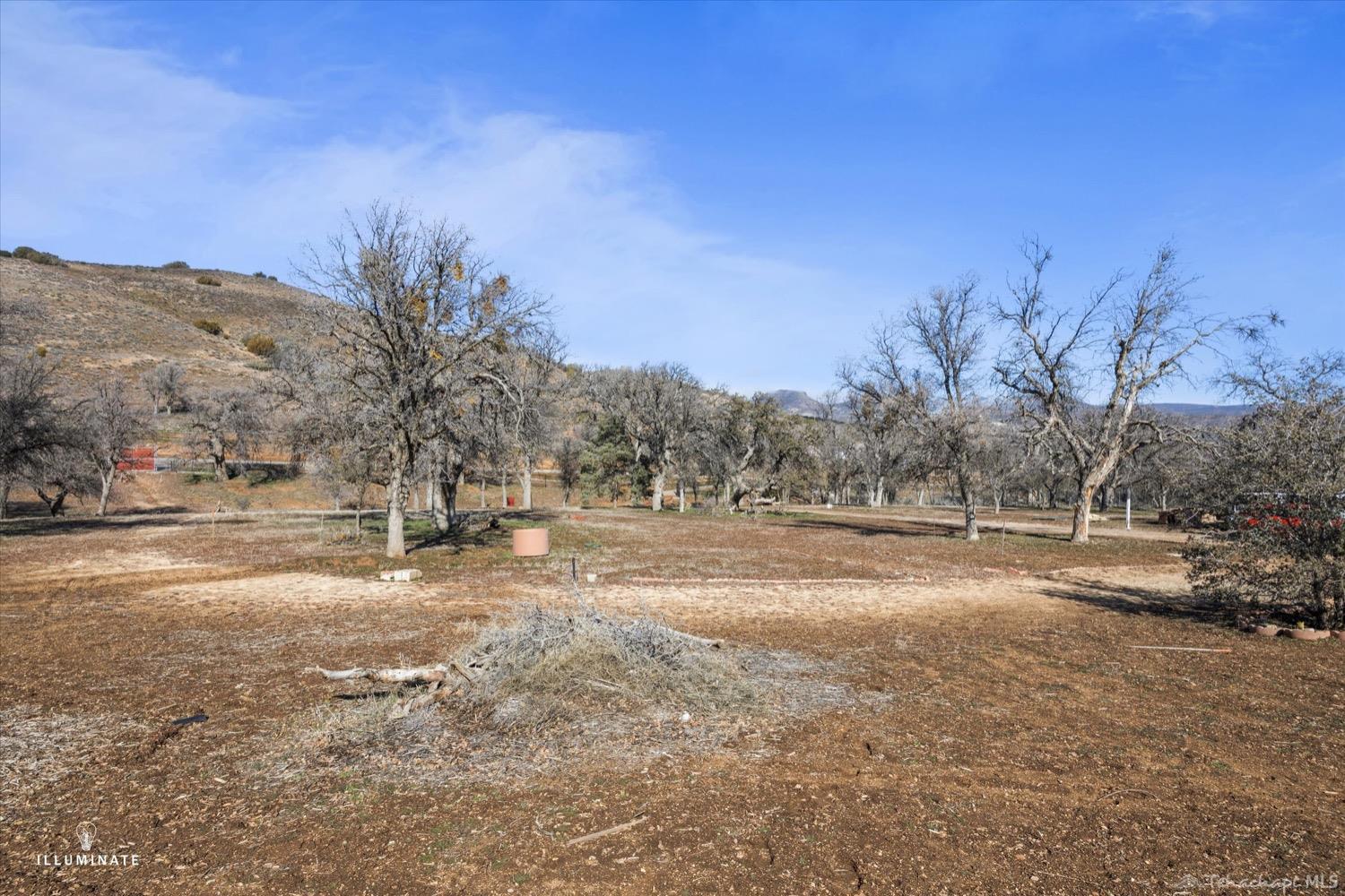 13164 Umtali Road Tehachapi, CA 93561 - Photo 3 of 36 Gallery Image 3
