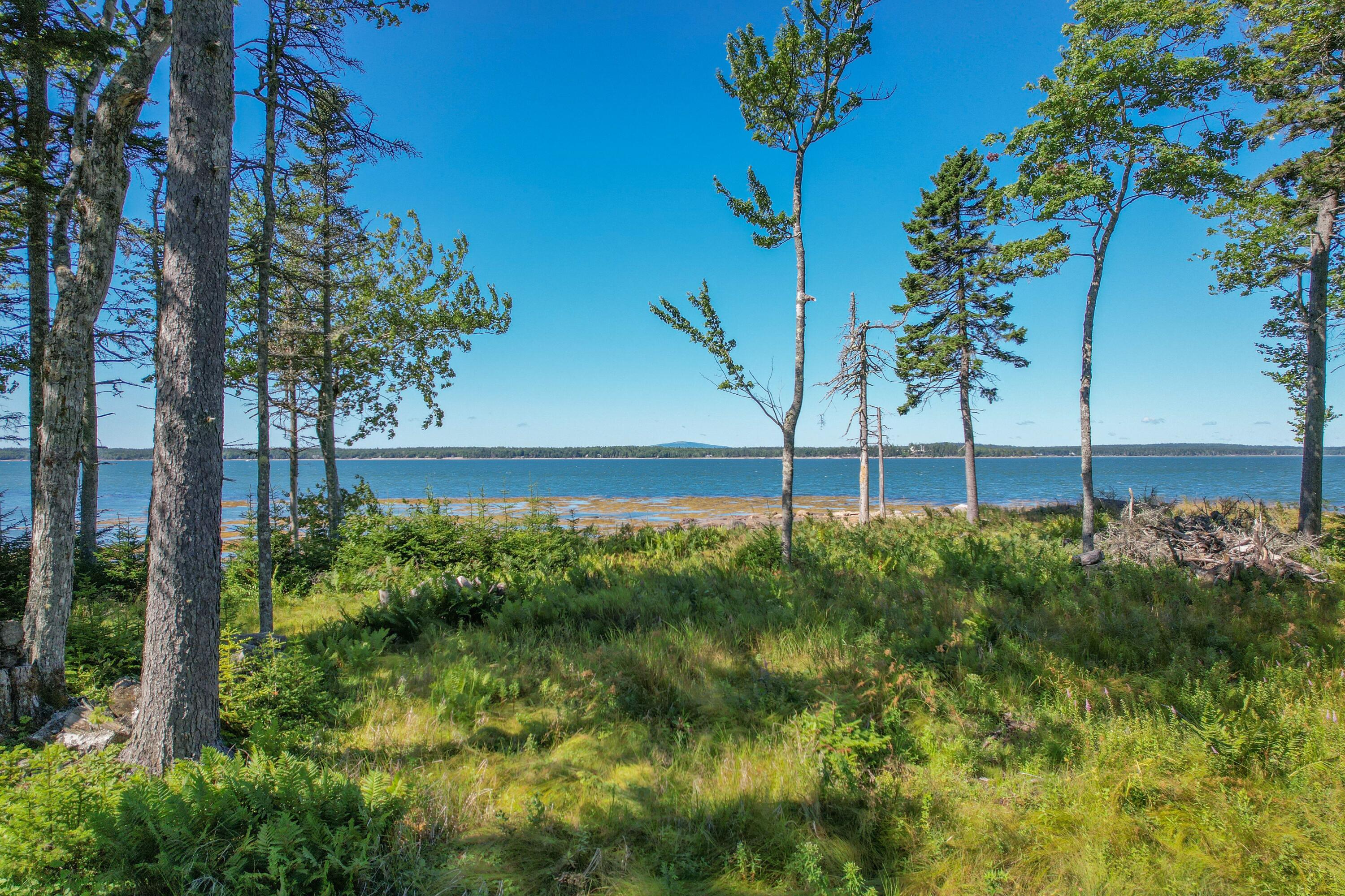 102 Estates Road, Unit LOT #3 Steuben, ME 04680 - Photo 8 of 14 View from the housesite.